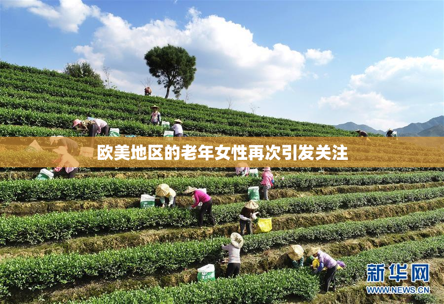 欧美地区的老年女性再次引发关注