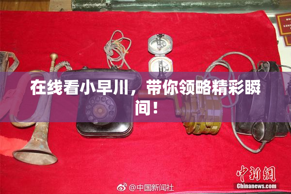 在线看小早川，带你领略精彩瞬间！