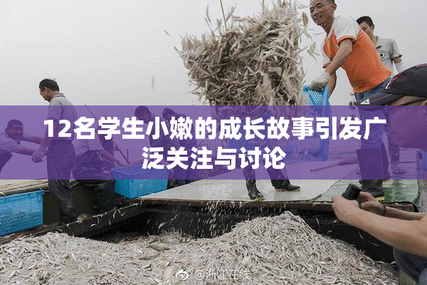 12名学生小嫩的成长故事引发广泛关注与讨论