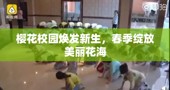 樱花校园焕发新生，春季绽放美丽花海
