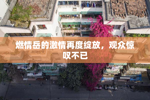 燃情岳的激情再度绽放，观众惊叹不已