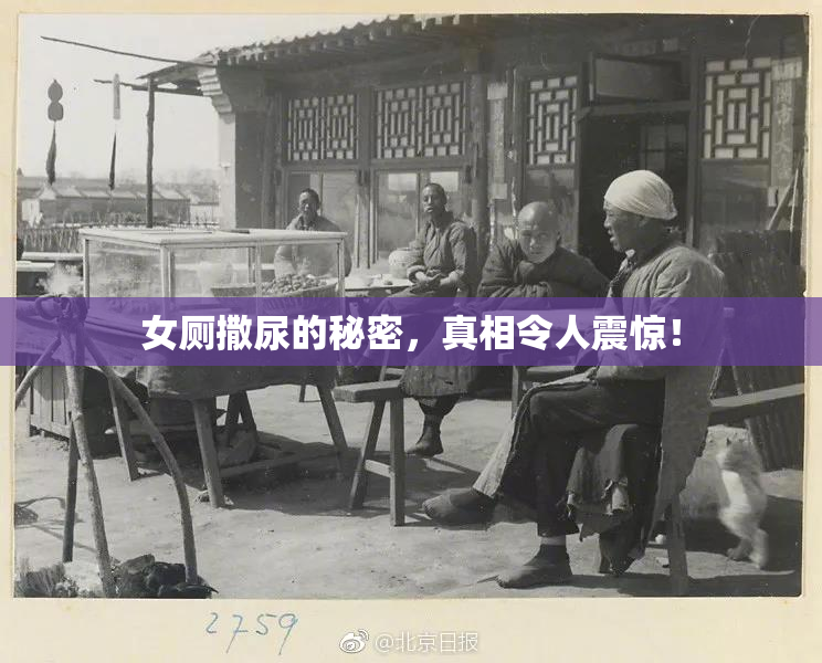 女厕撒尿的秘密，真相令人震惊！