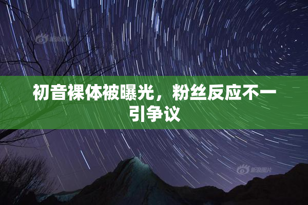 初音裸体被曝光，粉丝反应不一引争议