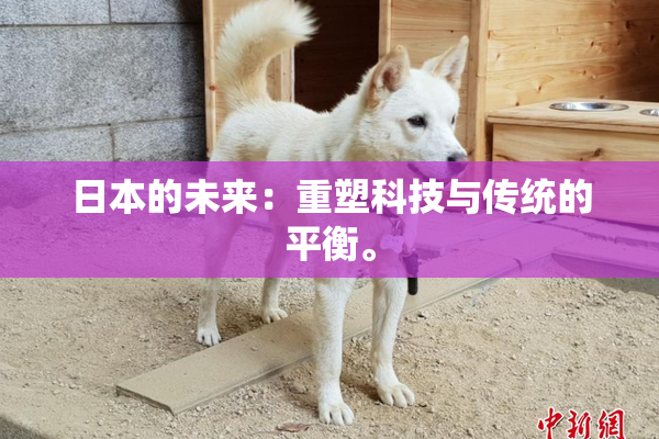 日本的未来：重塑科技与传统的平衡。