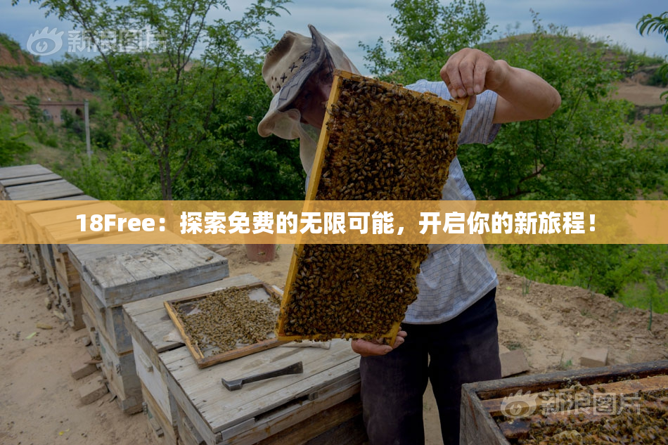 18Free：探索免费的无限可能，开启你的新旅程！