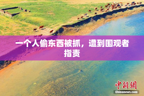 一个人偷东西被抓，遭到围观者指责