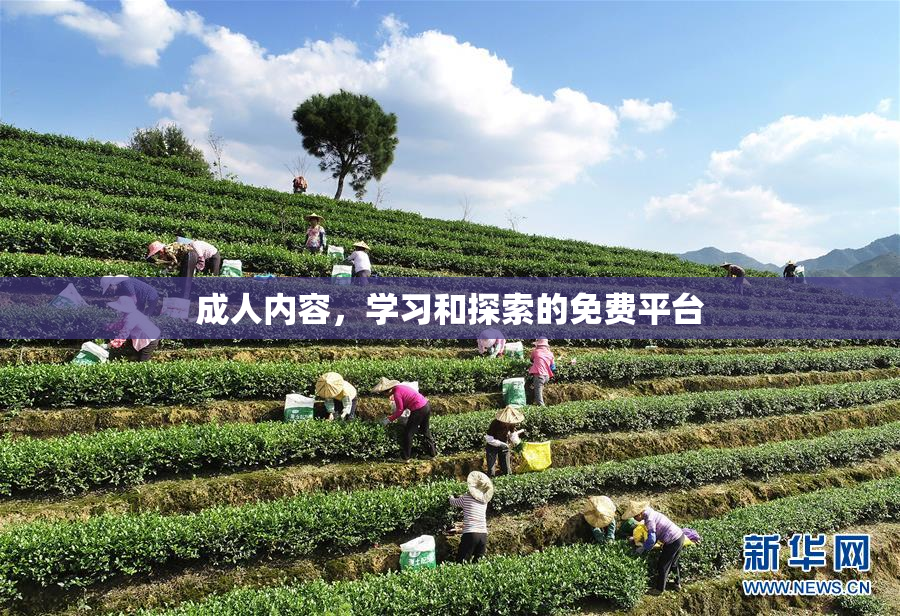 成人内容，学习和探索的免费平台