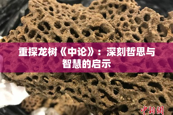 重探龙树《中论》：深刻哲思与智慧的启示