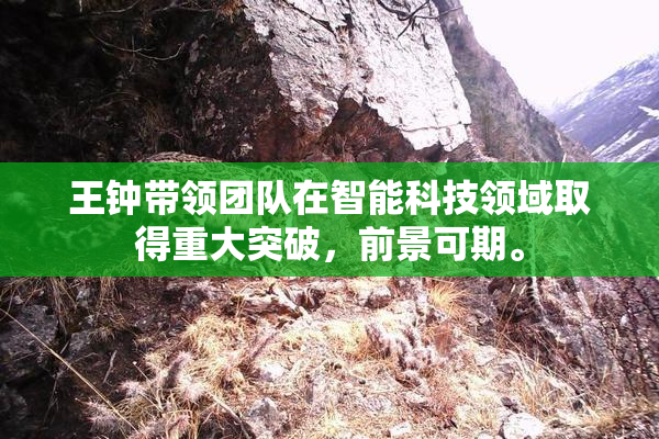 王钟带领团队在智能科技领域取得重大突破，前景可期。