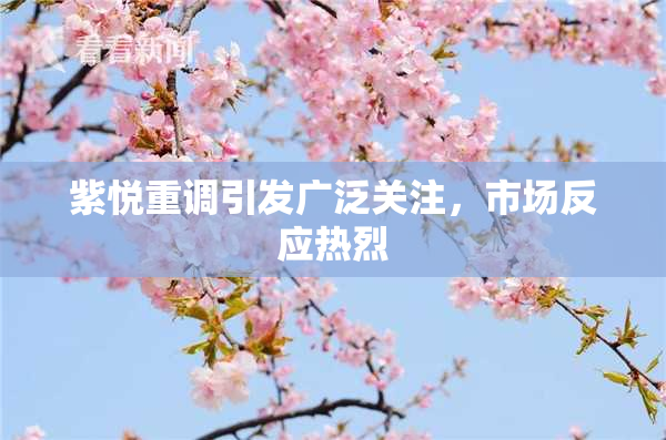 紫悦重调引发广泛关注，市场反应热烈
