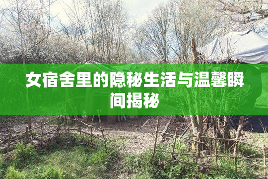 女宿舍里的隐秘生活与温馨瞬间揭秘