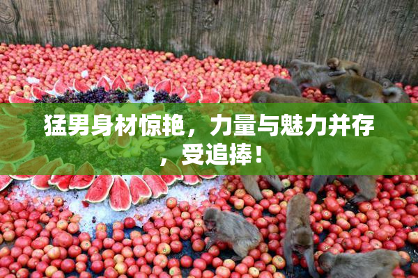 猛男身材惊艳，力量与魅力并存，受追捧！