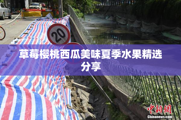 草莓樱桃西瓜美味夏季水果精选分享