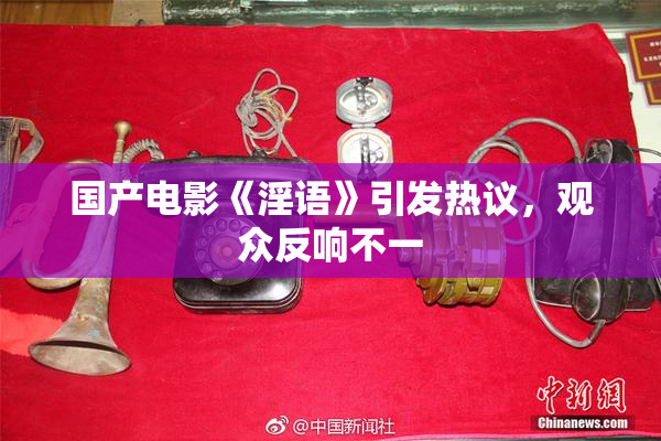 国产电影《淫语》引发热议，观众反响不一