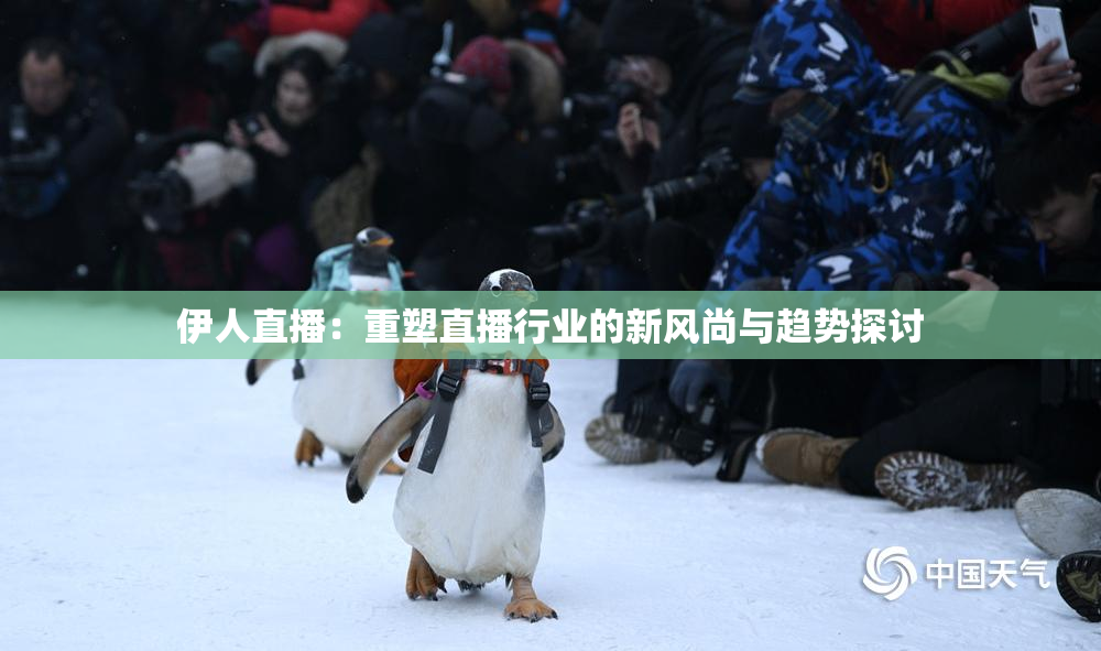 伊人直播：重塑直播行业的新风尚与趋势探讨