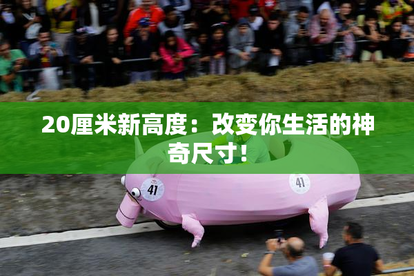 20厘米新高度：改变你生活的神奇尺寸！