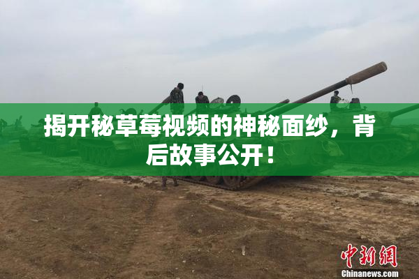 揭开秘草莓视频的神秘面纱，背后故事公开！