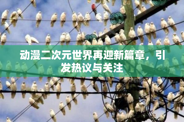 动漫二次元世界再迎新篇章，引发热议与关注