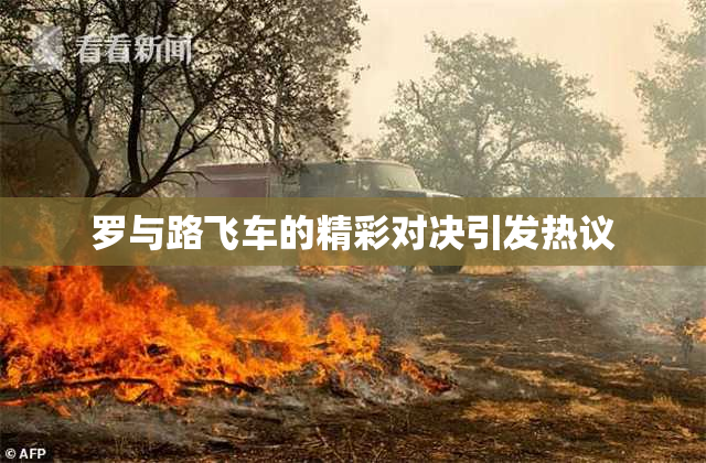 罗与路飞车的精彩对决引发热议