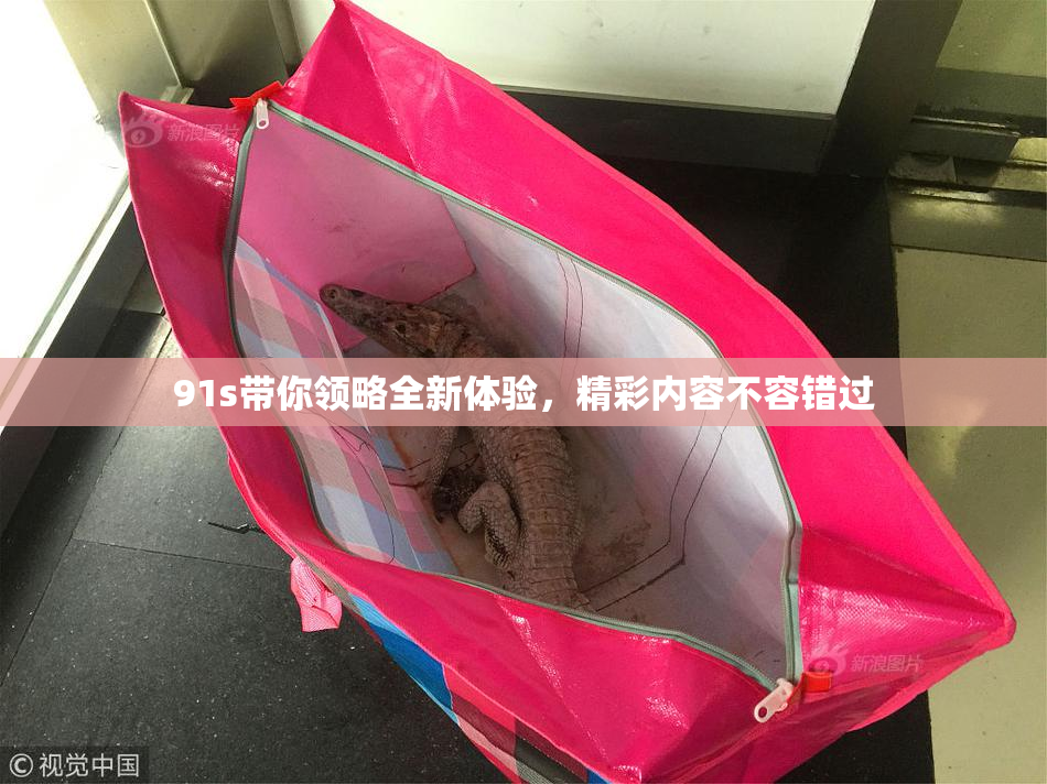 91s带你领略全新体验，精彩内容不容错过