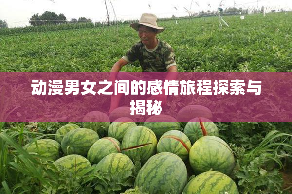 动漫男女之间的感情旅程探索与揭秘