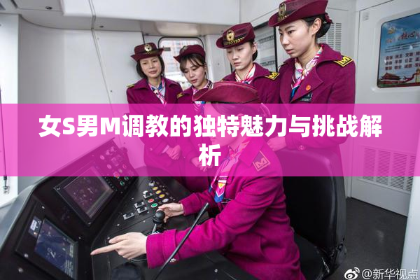 女S男M调教的独特魅力与挑战解析