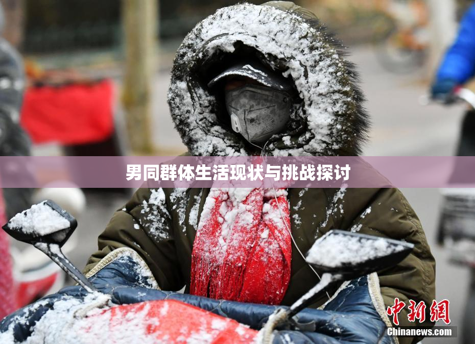 男同群体生活现状与挑战探讨