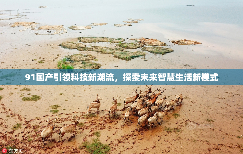 91国产引领科技新潮流，探索未来智慧生活新模式