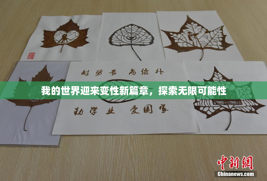 我的世界迎来变性新篇章，探索无限可能性