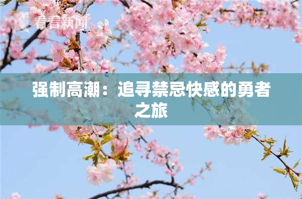 强制高潮：追寻禁忌快感的勇者之旅