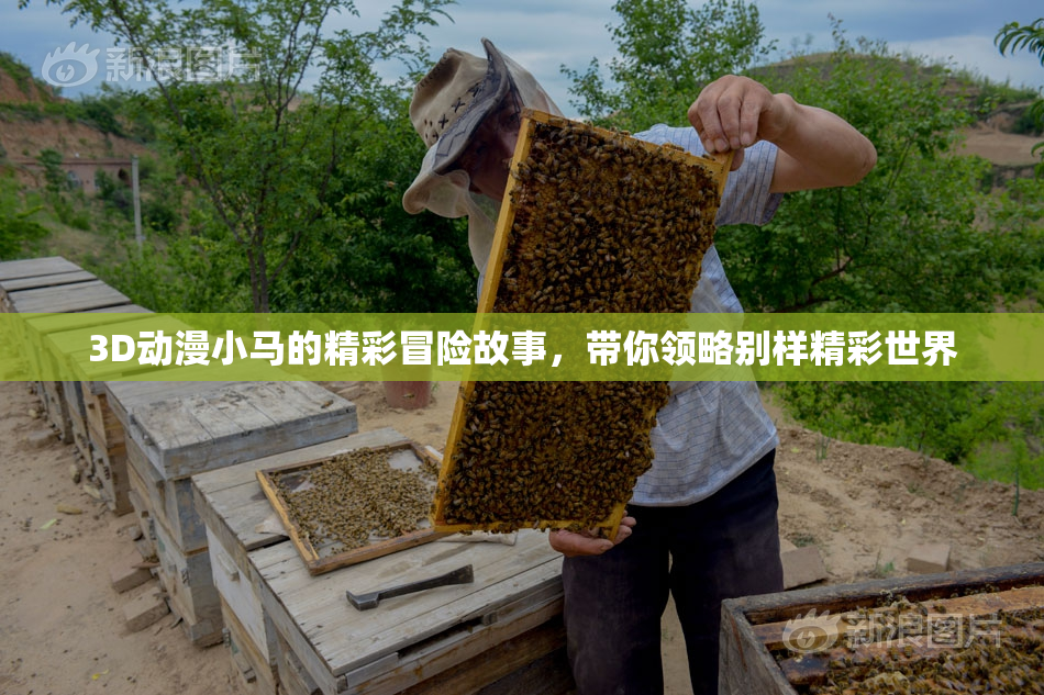 3D动漫小马的精彩冒险故事，带你领略别样精彩世界
