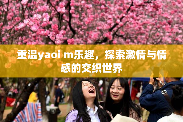 重温yaoi m乐趣，探索激情与情感的交织世界