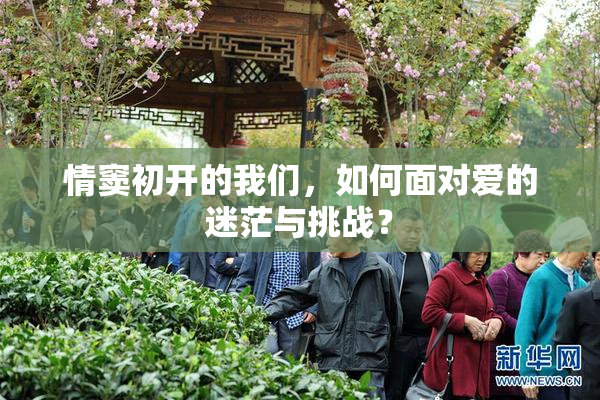 情窦初开的我们，如何面对爱的迷茫与挑战？