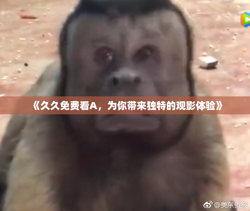 《久久免费看A，为你带来独特的观影体验》