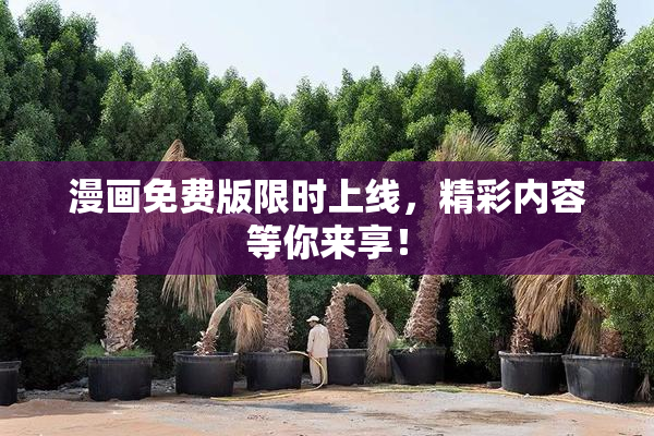 漫画免费版限时上线，精彩内容等你来享！