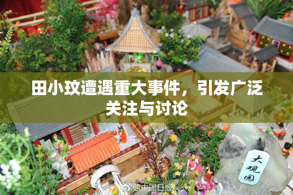 田小玟遭遇重大事件，引发广泛关注与讨论