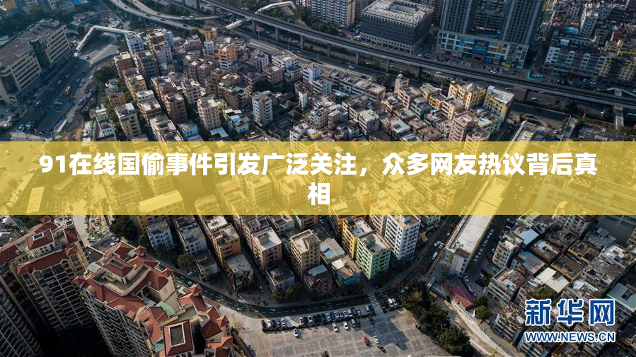 91在线国偷事件引发广泛关注，众多网友热议背后真相