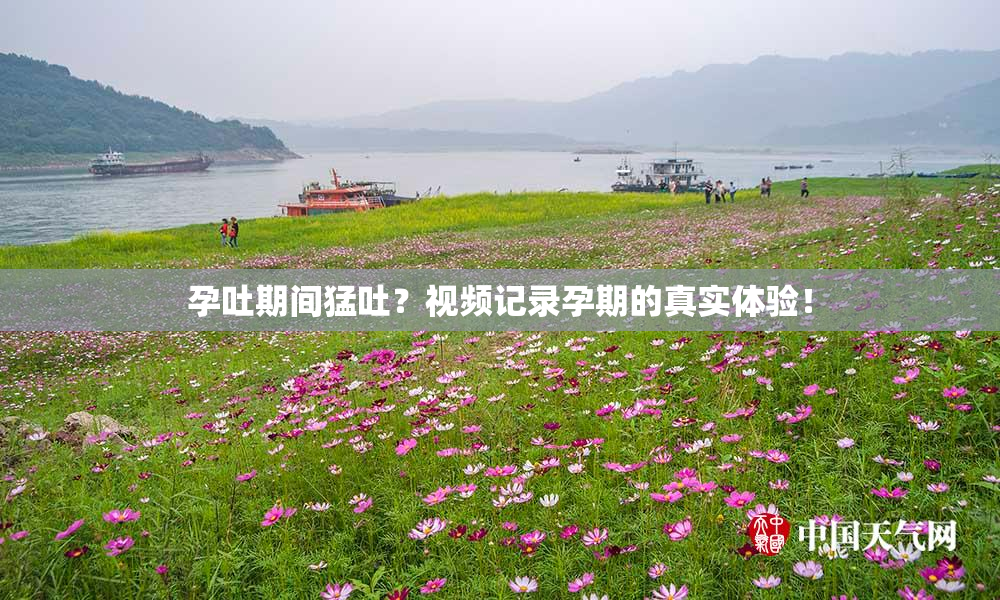 孕吐期间猛吐？视频记录孕期的真实体验！