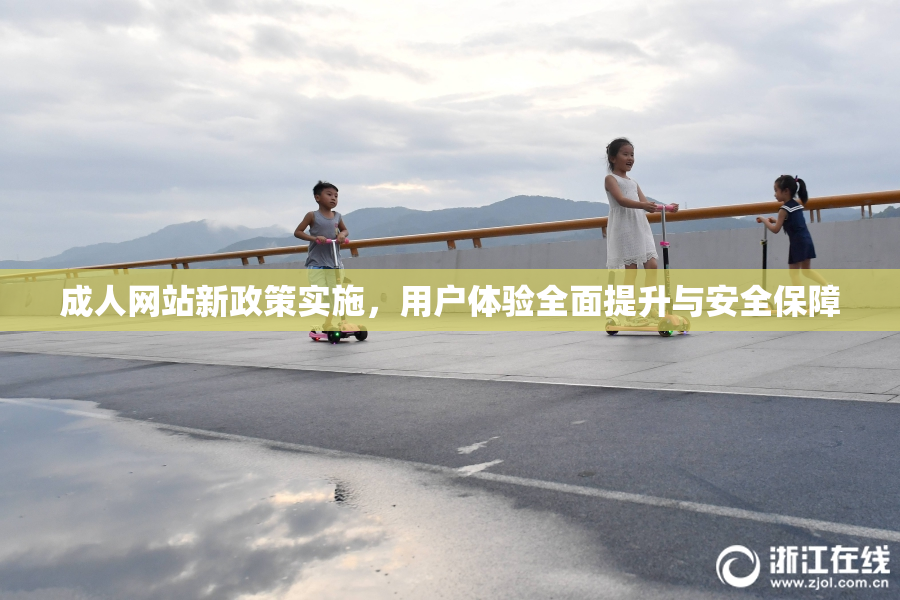 成人网站新政策实施，用户体验全面提升与安全保障