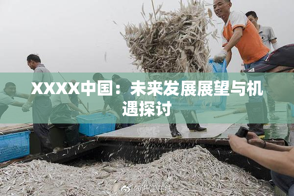 XXXX中国：未来发展展望与机遇探讨