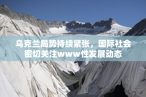 乌克兰局势持续紧张，国际社会密切关注www性发展动态