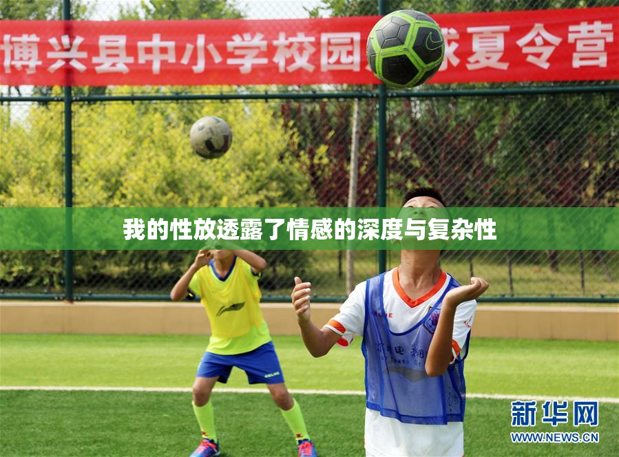 我的性放透露了情感的深度与复杂性
