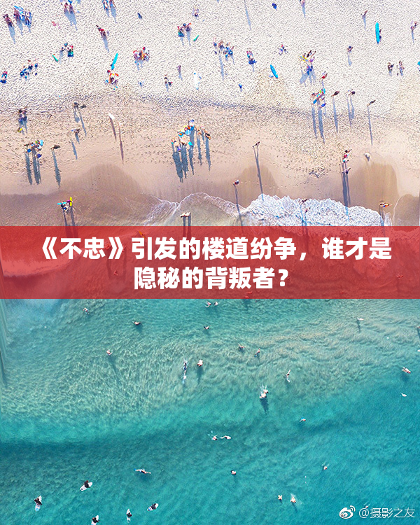 《不忠》引发的楼道纷争，谁才是隐秘的背叛者？
