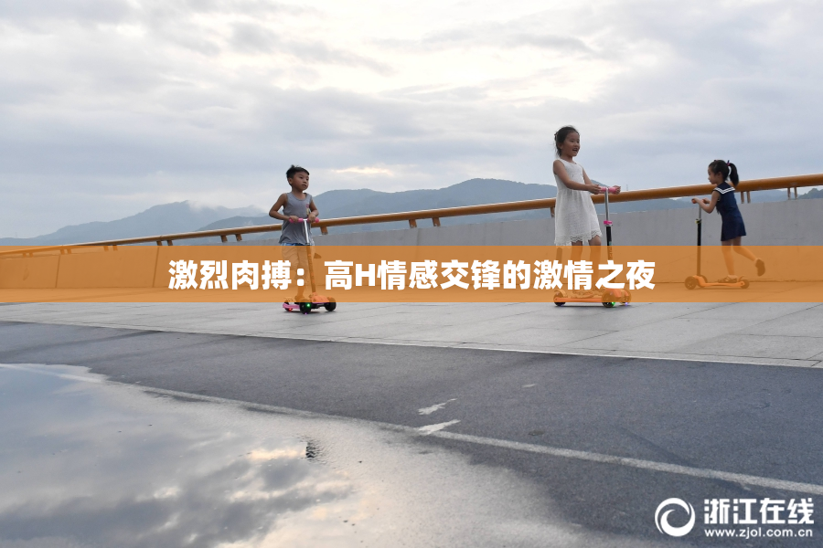 激烈肉搏：高H情感交锋的激情之夜