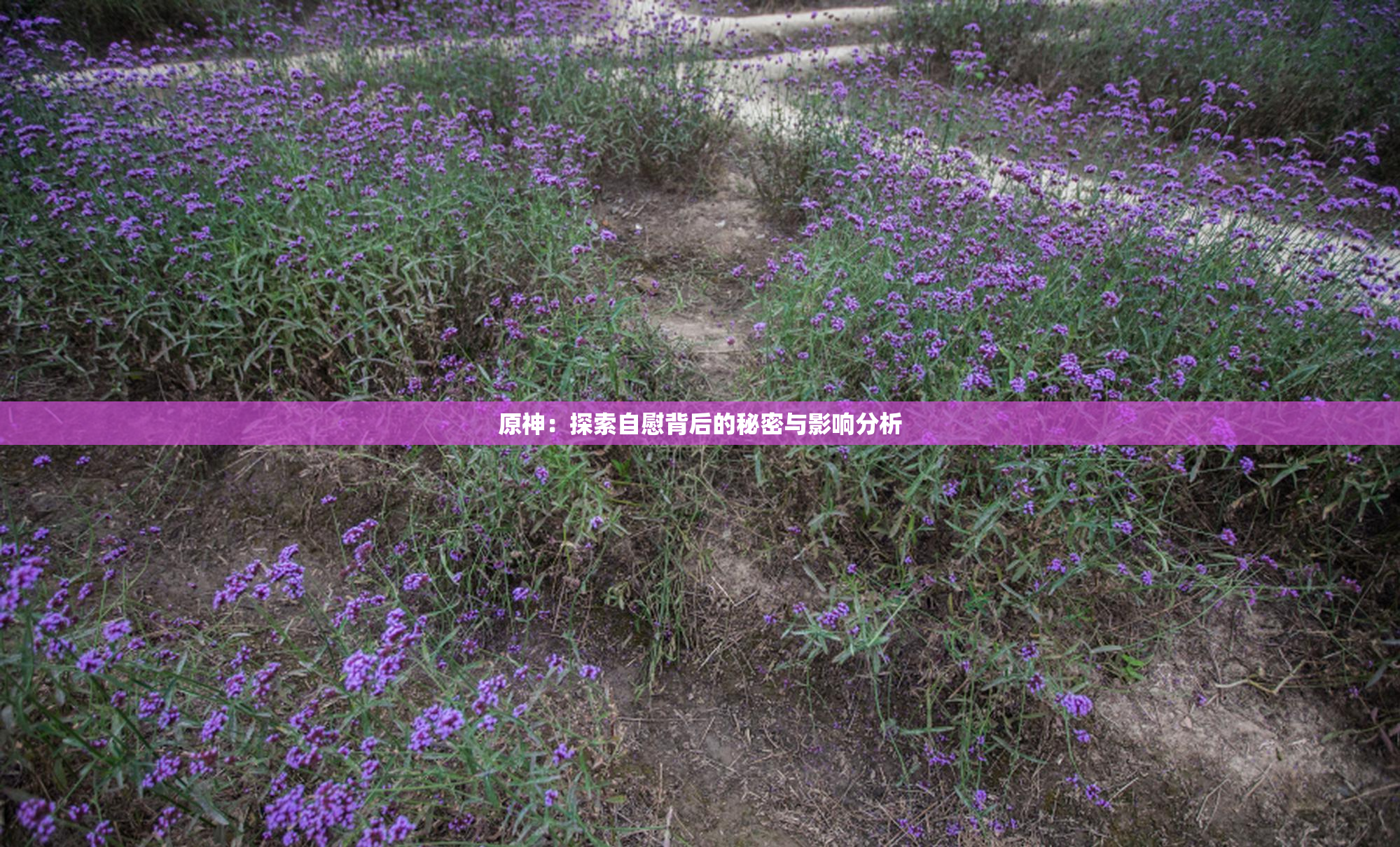 原神：探索自慰背后的秘密与影响分析