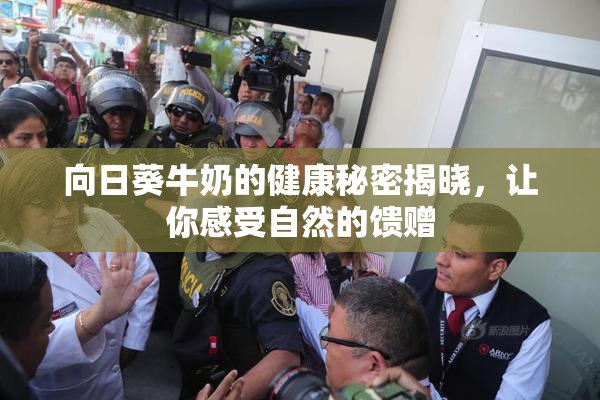 向日葵牛奶的健康秘密揭晓，让你感受自然的馈赠