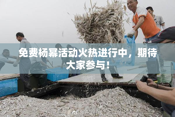 免费杨幂活动火热进行中，期待大家参与！