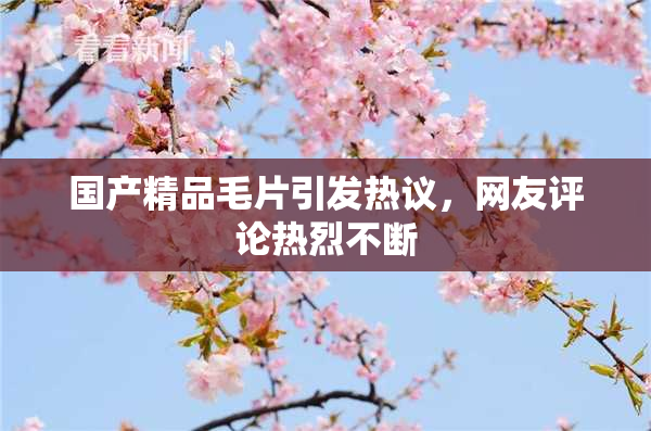 国产精品毛片引发热议，网友评论热烈不断