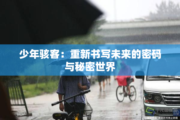 少年骇客：重新书写未来的密码与秘密世界