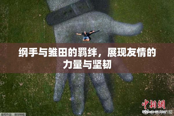 纲手与雏田的羁绊，展现友情的力量与坚韧